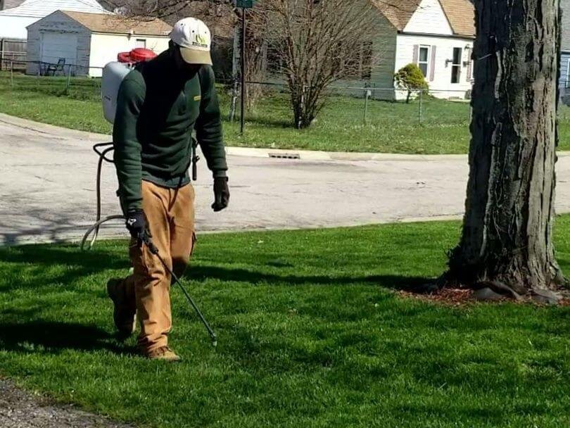 Lawn Fertilization & Weed Control