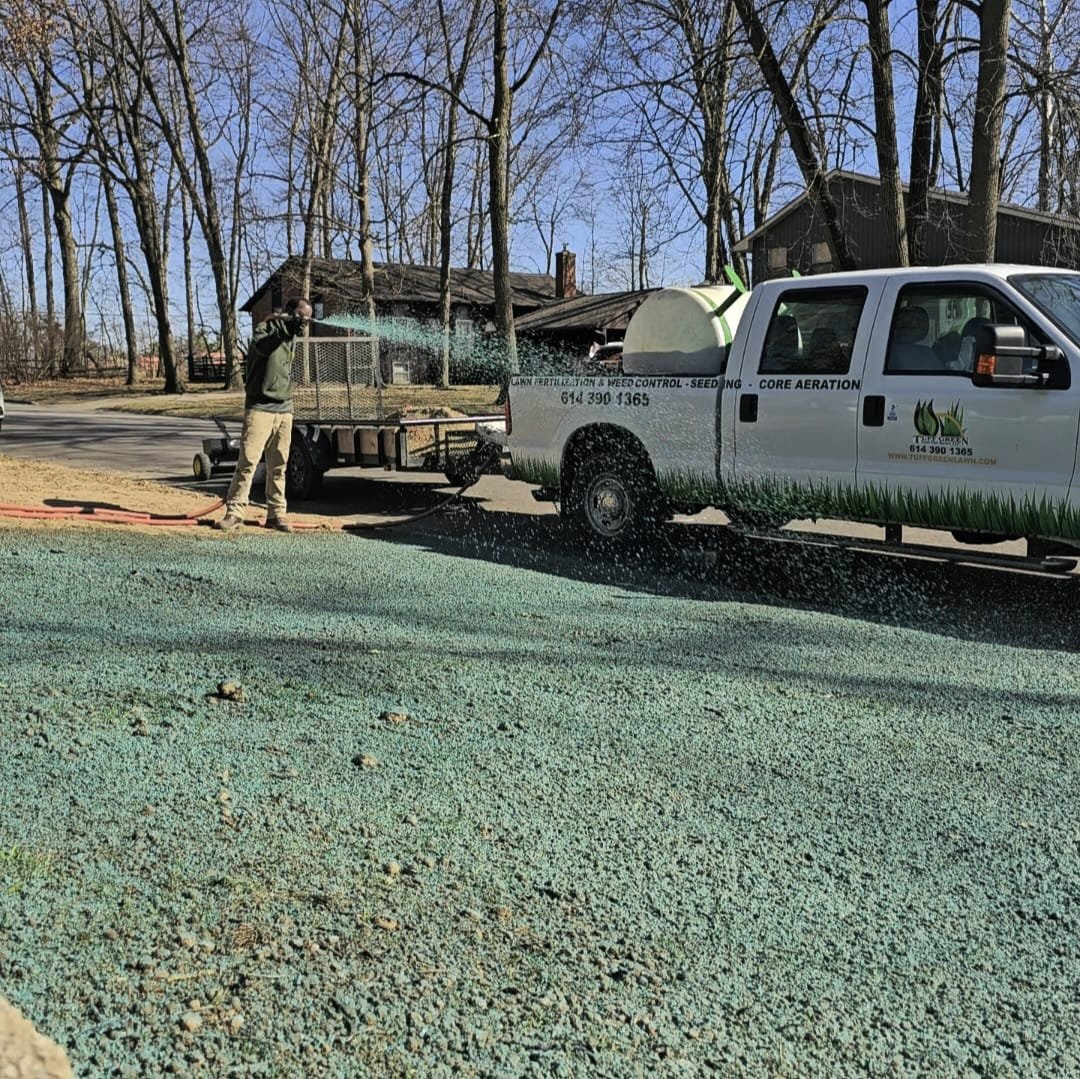 Lawn Seeding 